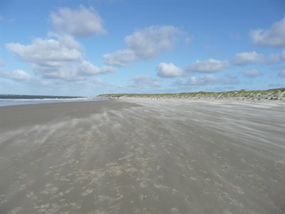 Strand 02